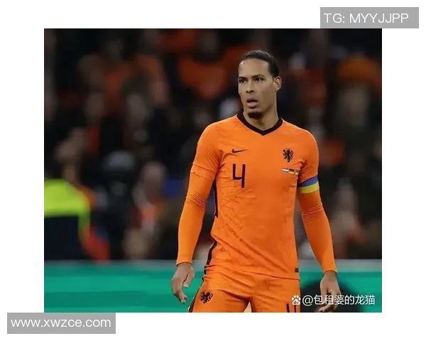 荷兰足球现役明星球员介绍及其在国际赛场上的表现分析