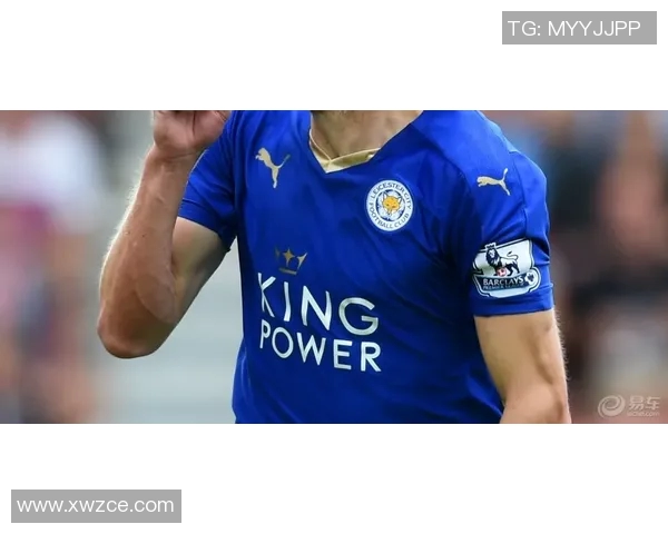 埃弗顿与热刺在线直播全程回顾与精彩瞬间解析